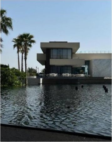 Pavilion over water with palms