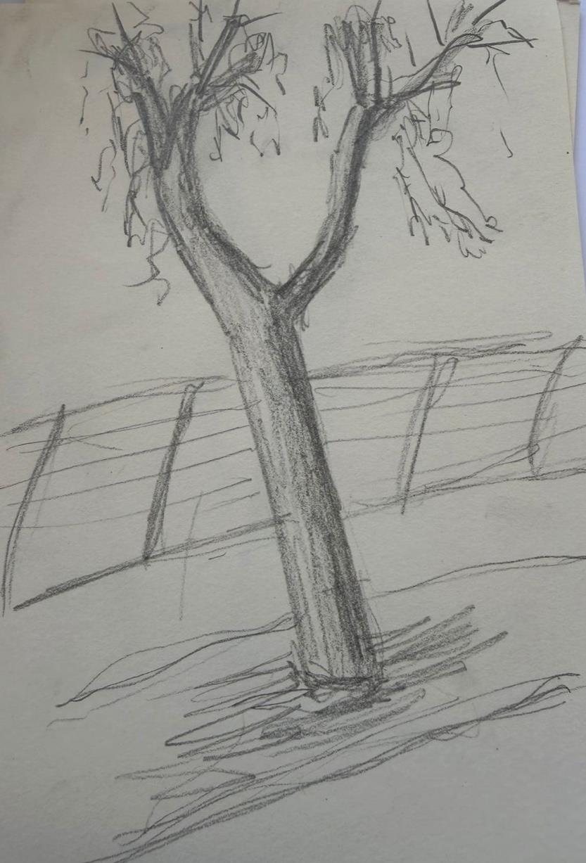 Pencil sketch of a terrace with palms and towers