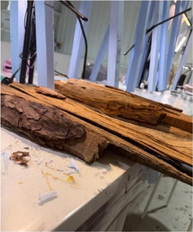 Rough timber pieces with bark